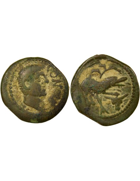 Gaule CONTOVTOS 1 bronze Bronze Ie siècle AV JC