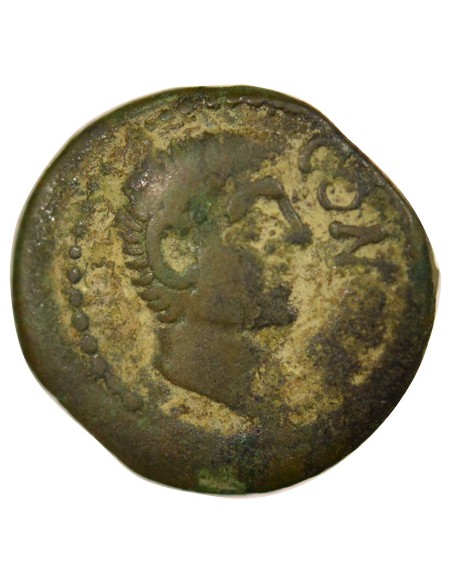 Gaule CONTOVTOS 1 bronze Bronze Ie siècle AV JC