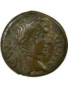 Rome - Provinces Auguste Aigle 1 quadrans Bronze 15-10 Av JC S Reims 2