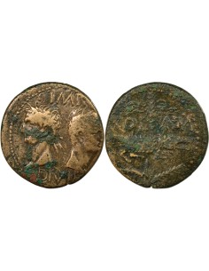 Rome - Provinces Auguste 1 dupondius Bronze 20-10 Av JC Nîmes
