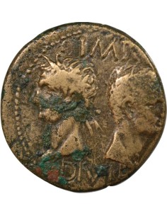 Rome - Provinces Auguste 1 dupondius Bronze 20-10 Av JC Nîmes 2