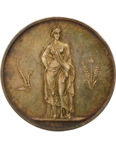 Viticulture  1 médaille Argent Après 1880 2
