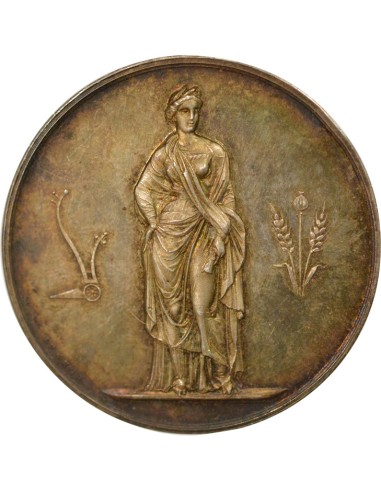Viticulture  1 médaille Argent Après 1880