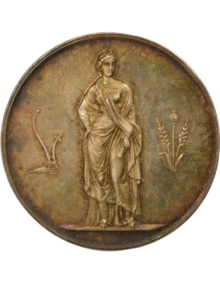Viticulture  1 médaille Argent Après 1880