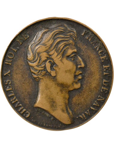 Charles X Aux Vendéens 1 jeton Cuivre