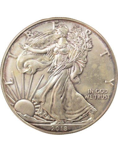 USA American Silver Eagle 1 Dollar Argent 2018 W West Point