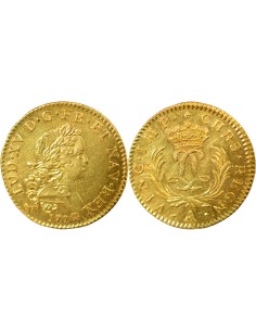 Louis XV Mirliton aux Grandes Palmes 1 louis d'or Or 1724 A - Paris