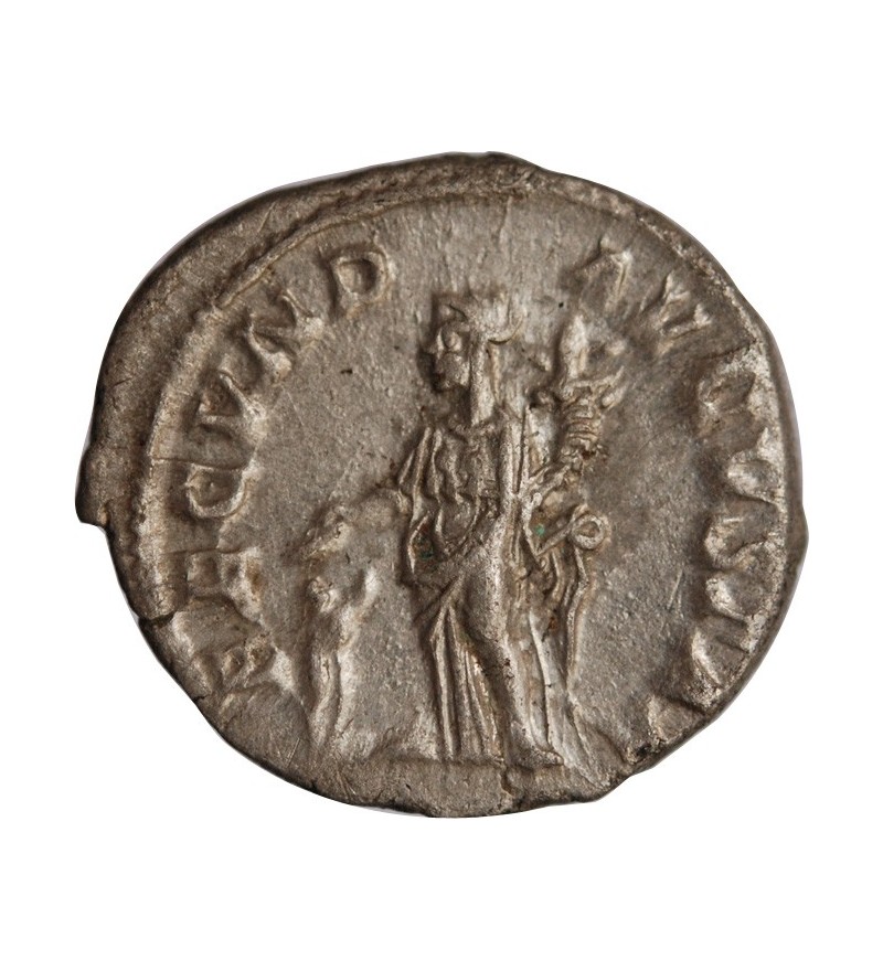 JULIA MAMEE - DENIER ARGENT﻿ 224