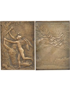 Exposition Universelle Internationale 1 jeton Argent 1900 A - Paris