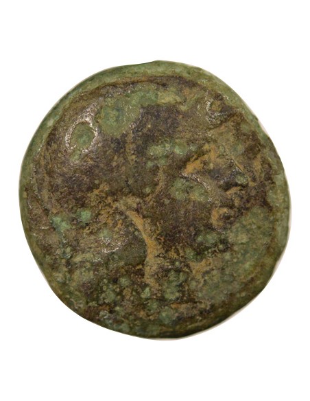 Grèce (Royaume Seleucide) Séleucos II Kallinikos Athena & Apollon 1 ae Bronze 246-242 Av JC Sardes