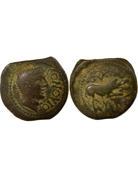 Gaule CONTOVTOS 1 bronze Bronze Ie siècle AV JC