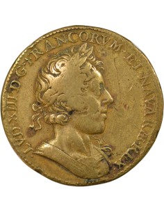 Louis XIII Louvre 1 médaille Laiton 1624 2