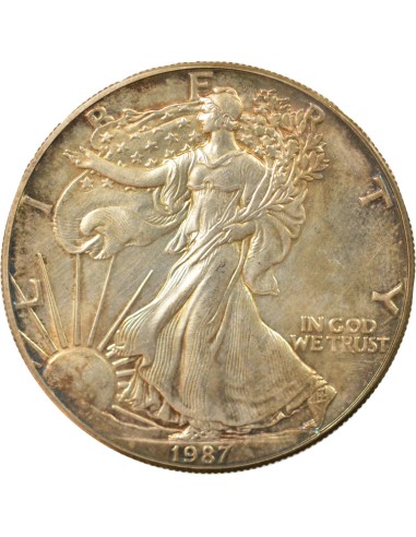 USA American Silver Eagle 1 Dollar Argent 1987 S San Francisco