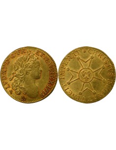 Louis XV à la Croix de St Esprit 1 louis d'or Or 1719 D Lyon