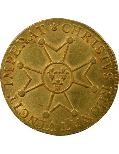 Louis XV à la Croix de St Esprit 1 louis d'or Or 1719 D Lyon