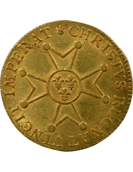 Louis XV à la Croix de St Esprit 1 louis d'or Or 1719 D Lyon