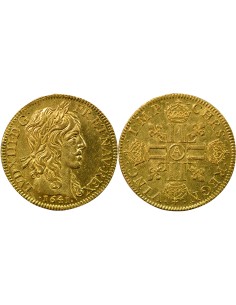 Louis XIII A la Mèche Longue 1 louis d'or Or 1641 A - Paris