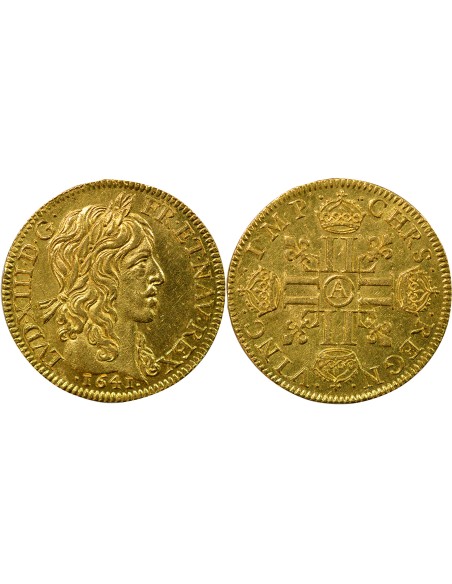 Louis XIII A la Mèche Longue 1 louis d'or Or 1641 A - Paris