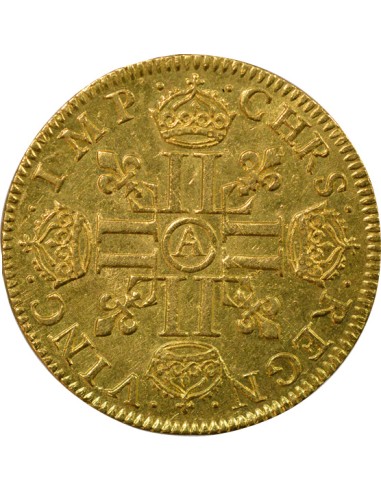 Louis XIII A la Mèche Longue 1 louis d'or Or 1641 A - Paris