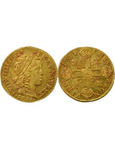 Louis XIV A la Mèche Longue 1 louis d'or Or 1653 A - Paris
