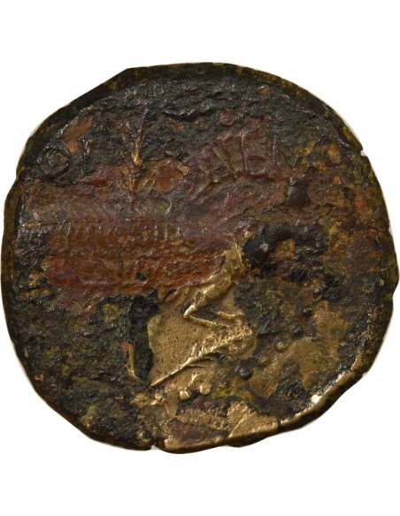 Rome - Provinces Auguste 1 dupondius Bronze 9-3 Av JC Nîmes