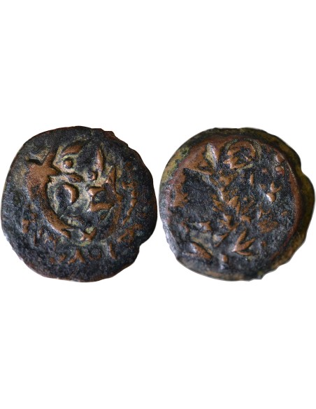 Judée Alexandre Jannée 1 prutah Bronze 103-76 Av JC Jérusalem