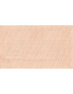 Fidji 2 shillings 1942 2