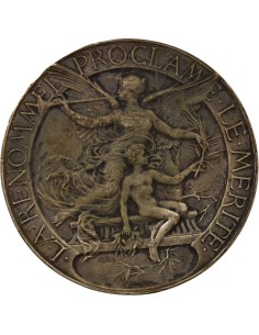 Exposition Nationale de Tours 1 jeton Bronze Argenté 1892 2