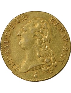 Louis XVI A la Tête nue 1 double louis d'or Or 1788 AA Metz 2