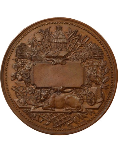 Société des Agriculteurs de France 1 jeton Cuivre XXe Siècle A Paris