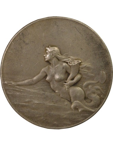 Assemblée des Actionnaires Bronze Argenté