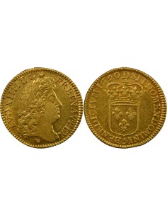 Louis XIV à l'Ecu 1 louis d'or Or 1690 D Lyon