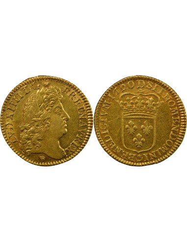 Louis XIV à l'Ecu 1 louis d'or Or 1690 D Lyon