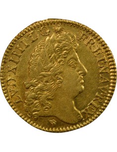 Louis XIV à l'Ecu 1 louis d'or Or 1690 D Lyon 2