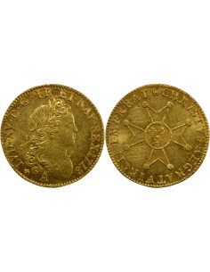 Louis XV à la Croix de St Esprit 1 louis d'or Or 1718 A - Paris