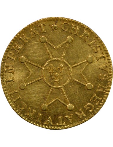 Louis XV à la Croix de St Esprit 1 louis d'or Or 1718 A - Paris