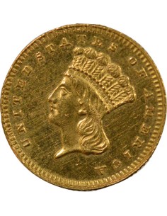 USA Tête d'Indien 2