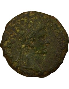 Rome Empire Tibère Autel des Gaules 1 semis Bronze 12-14 D Lyon 2