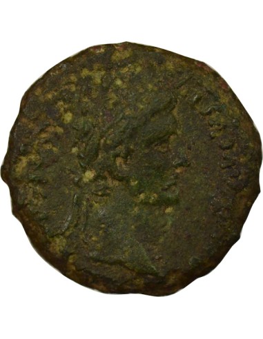 Rome Empire Tibère Autel des Gaules 1 semis Bronze 12-14 D Lyon