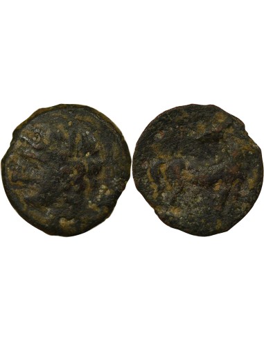 Grèce (Zeugitane) 1 shekel Cuivre 215-201 Av JC Carthage