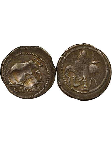 République Romaine Jules César A l'Elephant 1 denier Argent 49 Av JC