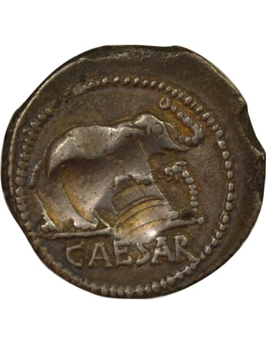 République Romaine Jules César A l'Elephant 1 denier Argent 49 Av JC