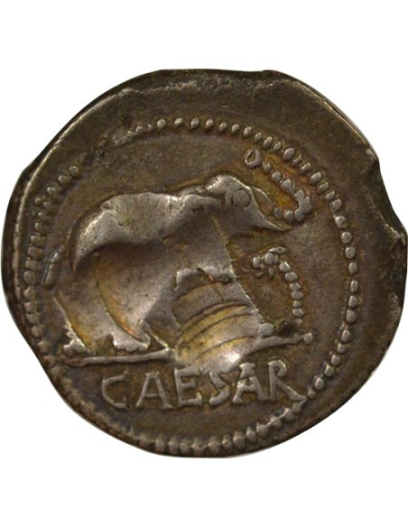 République Romaine Jules César A l'Elephant 1 denier Argent 49 Av JC