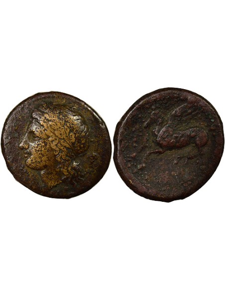 Grèce (Sicile) 1/2 litra Bronze 334-317 Av JC Syracuse