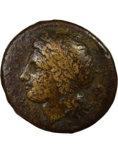 Grèce (Sicile) 1/2 litra Bronze 334-317 Av JC Syracuse