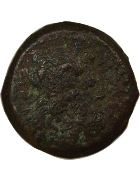 Grèce (Egypte) Ptolémée II 1/2 obole Bronze 265 / 246 Av JC Alexandrie