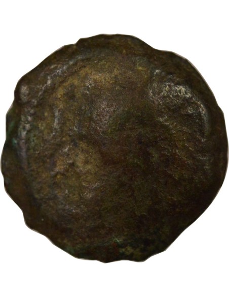 Grèce (Egypte) Ptolémée IX 1/2 obole Bronze 116 / 107 Av JC Cyrène