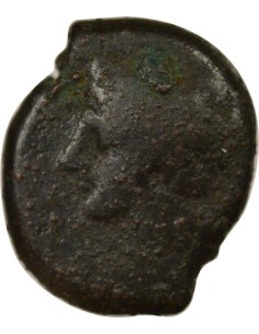 Grèce (Zeugitane) 1 unite Bronze IVe Siècle Av JC 2
