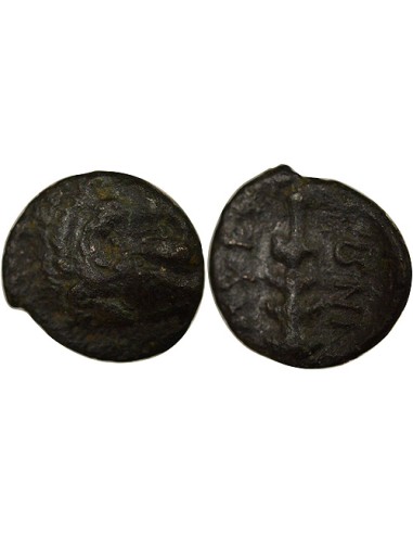 Grèce (Beotie)  1 chalque Bronze 395 / 338 Av JC Thèbes