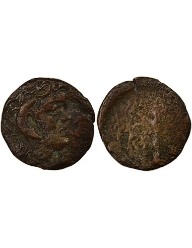 Grèce (Cyrénaïque) 1 chalque Bronze 300-277 Av JC Cyrène